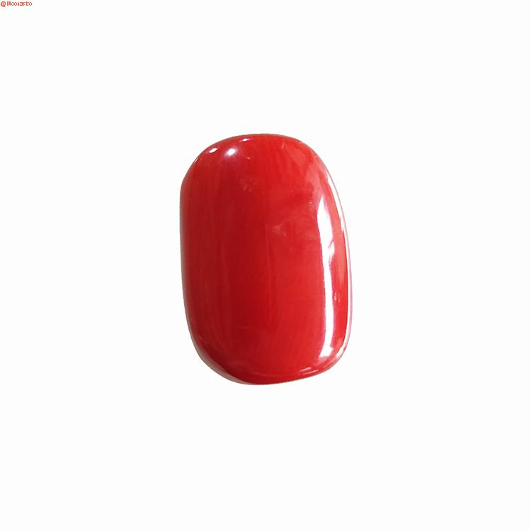 red coral premium extra large size